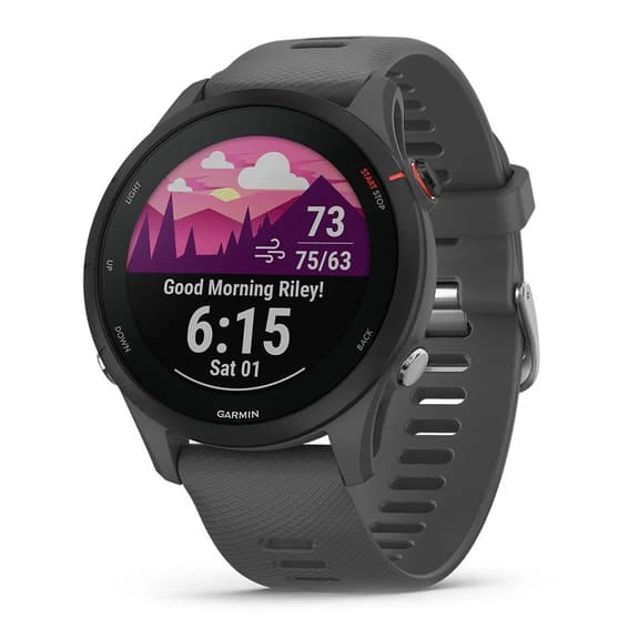 Garmin Forerunner 255 Gris 3 Garmin Forerunner 255 Gris